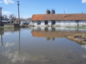 árvíz II.2006 049