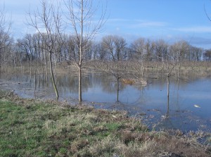 árvíz II.2006 101