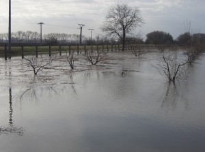 árvíz II.2006 121